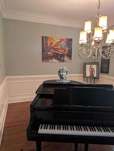 Customer photo review of Piano Carnival