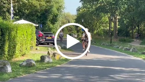 Customer video review of Kvisp Dog Bike Carrier