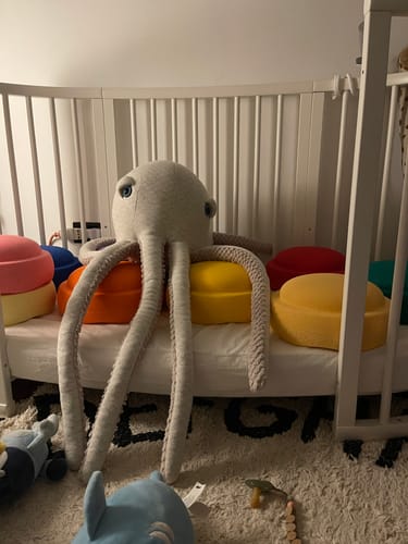 Customer photo review of The Octopus