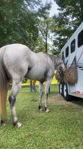 Customer photo review of Hay Chix® Half Bale Net