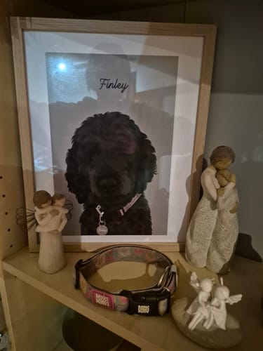 Customer photo review of Custom Pet Portrait - One Pet
