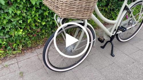 Customer video review of E-Cargo N3