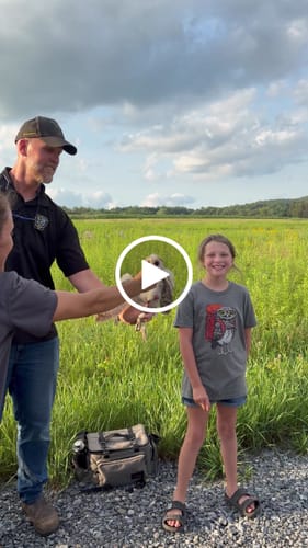 Customer video review of Pygmy Owl Backpacker Kids T-Shirt