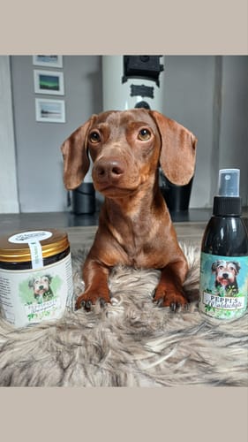 Customer photo review of PEPPI'S Wurzelwächter - Puten Kräuterstreifen