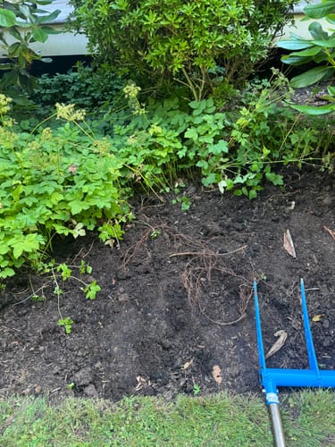 Customer photo review of The All-Day Treadlite Broadfork | 20" wide | 4 tines