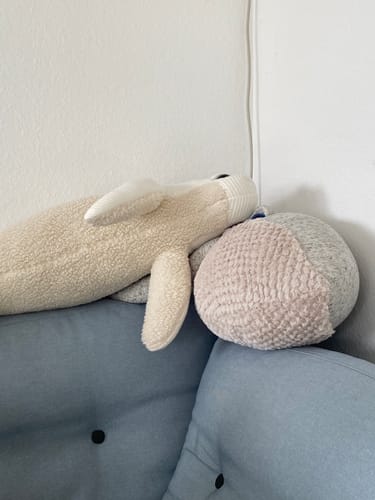 Customer photo review of The Whale