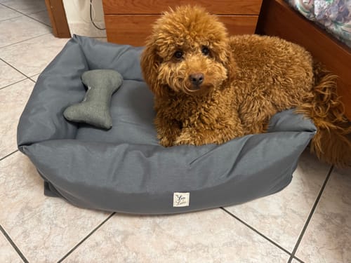 Customer photo review of Divanetto Cotone Siena Grigio Scuro