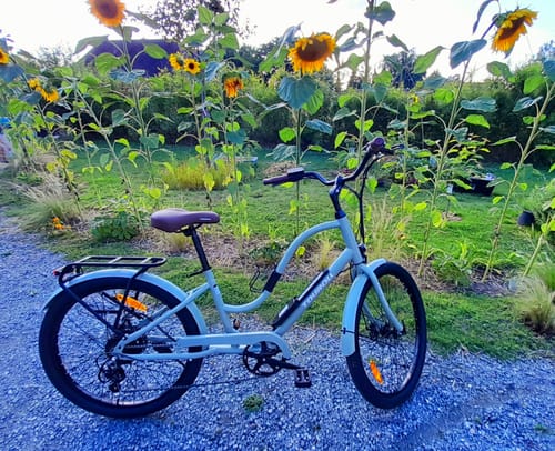 Customer photo review of Touroll B2 City Step-Thru Electric Bike