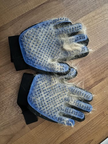 Customer photo review of StimuliCat Grooming Glove | The Only Glove With Mother-Tongue Technology for Stress-Free Grooming (Includes Both Hands)