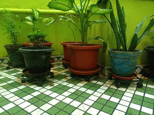 Customer photo review of United Crafts Rozy Wheel Pot Stands for Planters