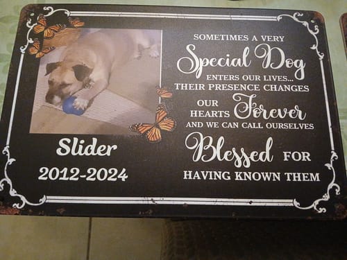 Customer photo review of Custom Dog Photo Horizontal Metal Sign - Memorial Gift Idea For Dog Lover