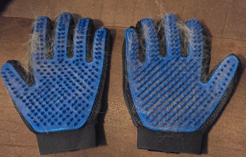 Customer photo review of StimuliCat Grooming Glove | The Only Glove With Mother-Tongue Technology for Stress-Free Grooming (Includes Both Hands)