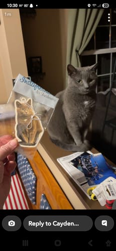 Customer photo review of Custom Shape Air Freshener