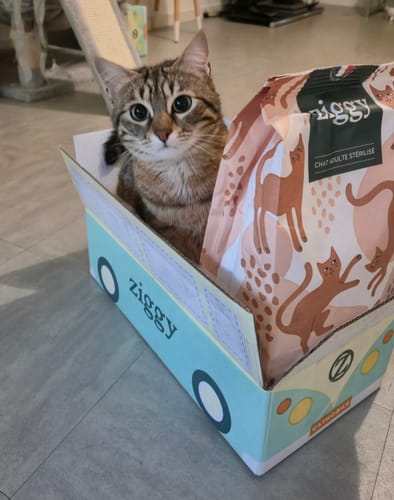 Avis photo d'un client sur Croquettes Chat Stérilisé Sans Céréales - Poulet