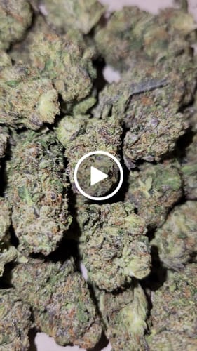 Customer video review of Trainwreck THCA Flower