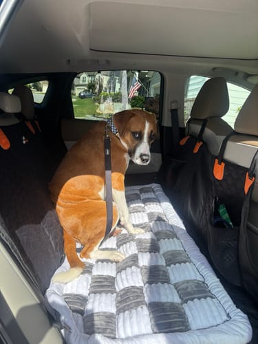 Customer photo review of RuffRover 2.0™ - Hard Bottom Back Seat Extender + (FREE Dog Bed)