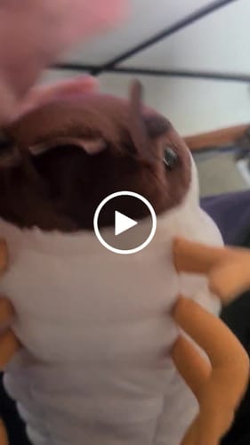 Customer video review of White Grub Soft Stuffed Plush Toy