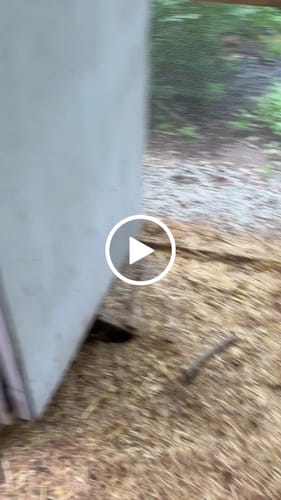 Customer video review of Small (24") Reversible Rollout Nest Box (Up to 20 Hens)