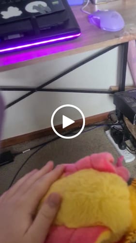 Customer video review of Rosy Maple Moth Soft Stuffed Plush Toy