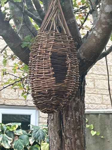 Customer photo review of The Bird Box - Course and Kit