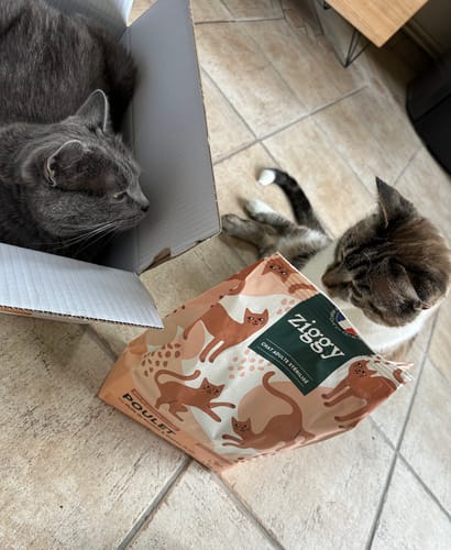 Avis photo d'un client sur Croquettes Chat Stérilisé Sans Céréales - Poulet
