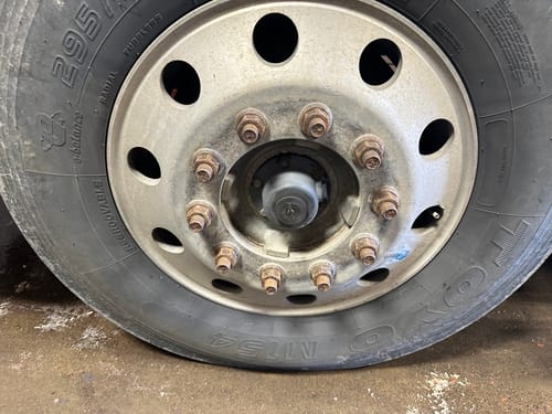 Customer photo review of Absolute Acid