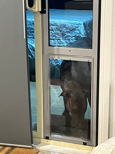 Customer photo review of Pet Door Inserts