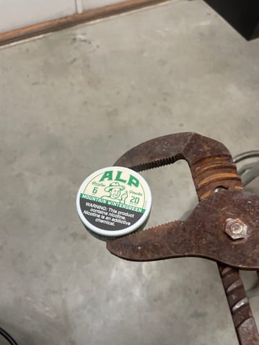 Customer photo review of Mountain Wintergreen Nicotine Pouches