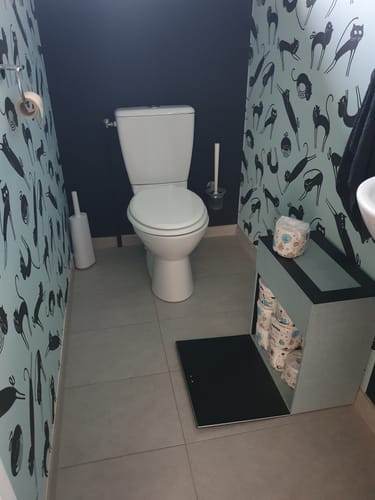 Avis photo d'un client sur PAPIER TOILETTE Zéro plastique - 48 rouleaux
