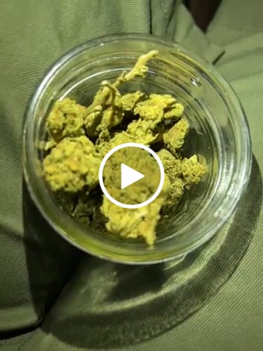 Customer video review of Skywalker OG THCA Flower