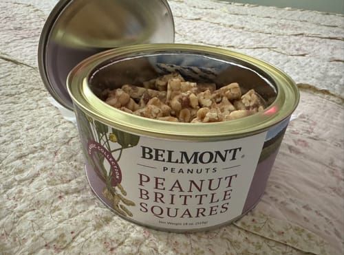 Customer photo review of Peanut Brittle Squares