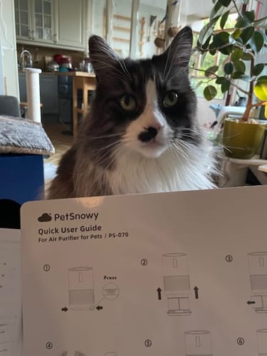 Customer photo review of Pet Air Purifier