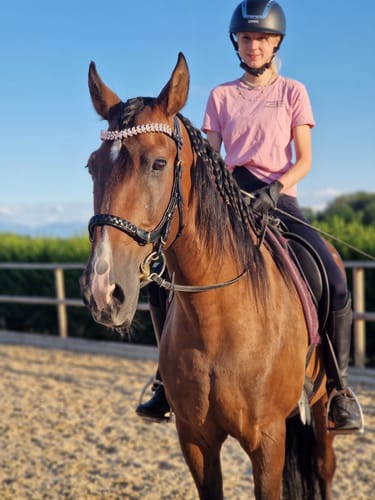 Customer photo review of Viva browband