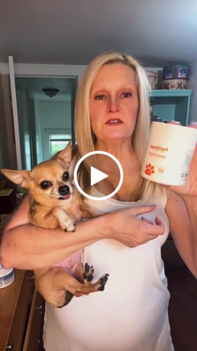 Customer video review of Probiotic Chews