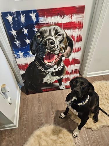 Customer photo review of Custom Pet Portrait - Abstract "Patriot" Style