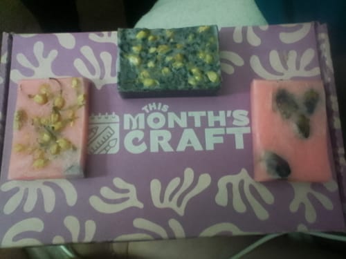 Customer photo review of This Month's Craft Subscription Box