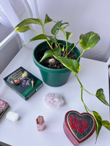 Customer photo review of Goddess of Love | Channeled Angel Message | 5 Card Spread via Email