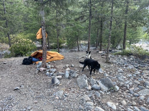 Customer photo review of THE BUNKER BAG