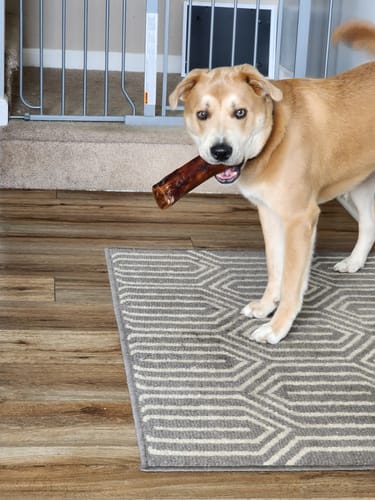 Customer photo review of Smoked Beef Marrow Bone