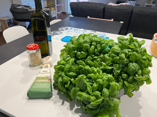 Customer photo review of Pinoli Prima Scelta Pisani della Tenuta di San Rossore - 500g