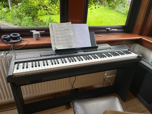 Customer photo review of Donner DEP-20 Portable Keyboard 88-Key Weighted with Stand