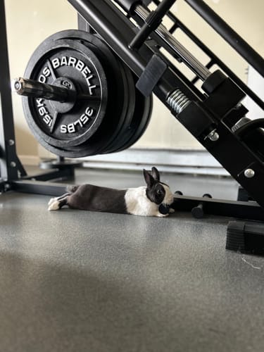 Customer photo review of RitFit BLP01 45 Degree 3-In-1 Leg Press Hack Squat and Calf Raise Machine