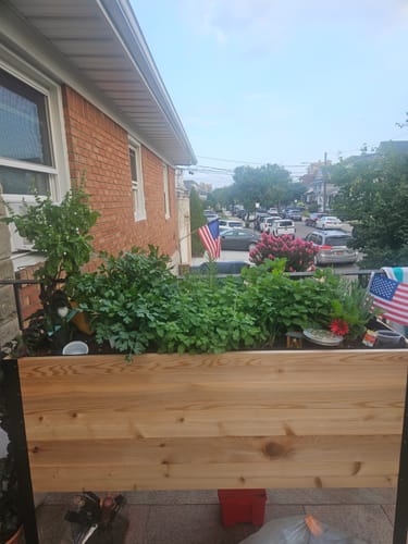 Customer photo review of 18" x 48" Raised Garden Bed - 30" TALL