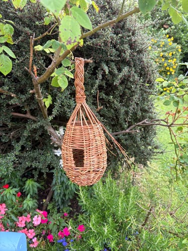 Customer photo review of The Bird Box - Course and Kit