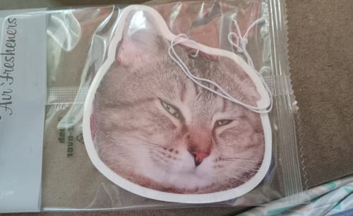 Customer photo review of Custom Air Freshener