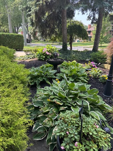 Customer photo review of Ballare Dancing Waters Fountain