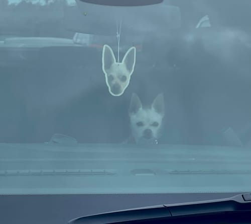 Customer photo review of Custom Air Freshener
