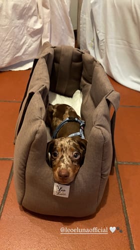 Customer photo review of Borsa Mattias Marrone (Soft Touch)