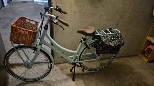 Customer photo review of E-Cargo N3