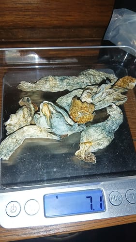 Customer photo review of Non Detect Mushrooms